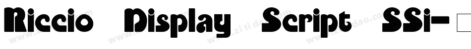 Riccio Display Script SSi字体转换